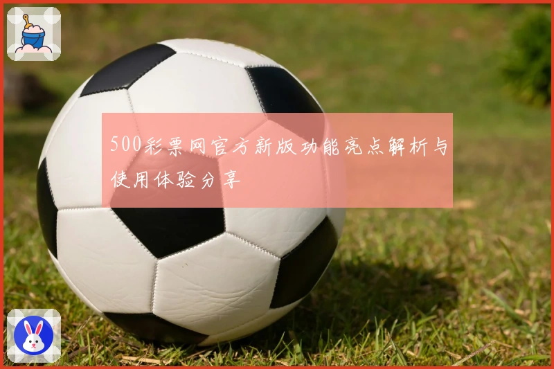 500彩票网官方新版功能亮点解析与使用体验分享